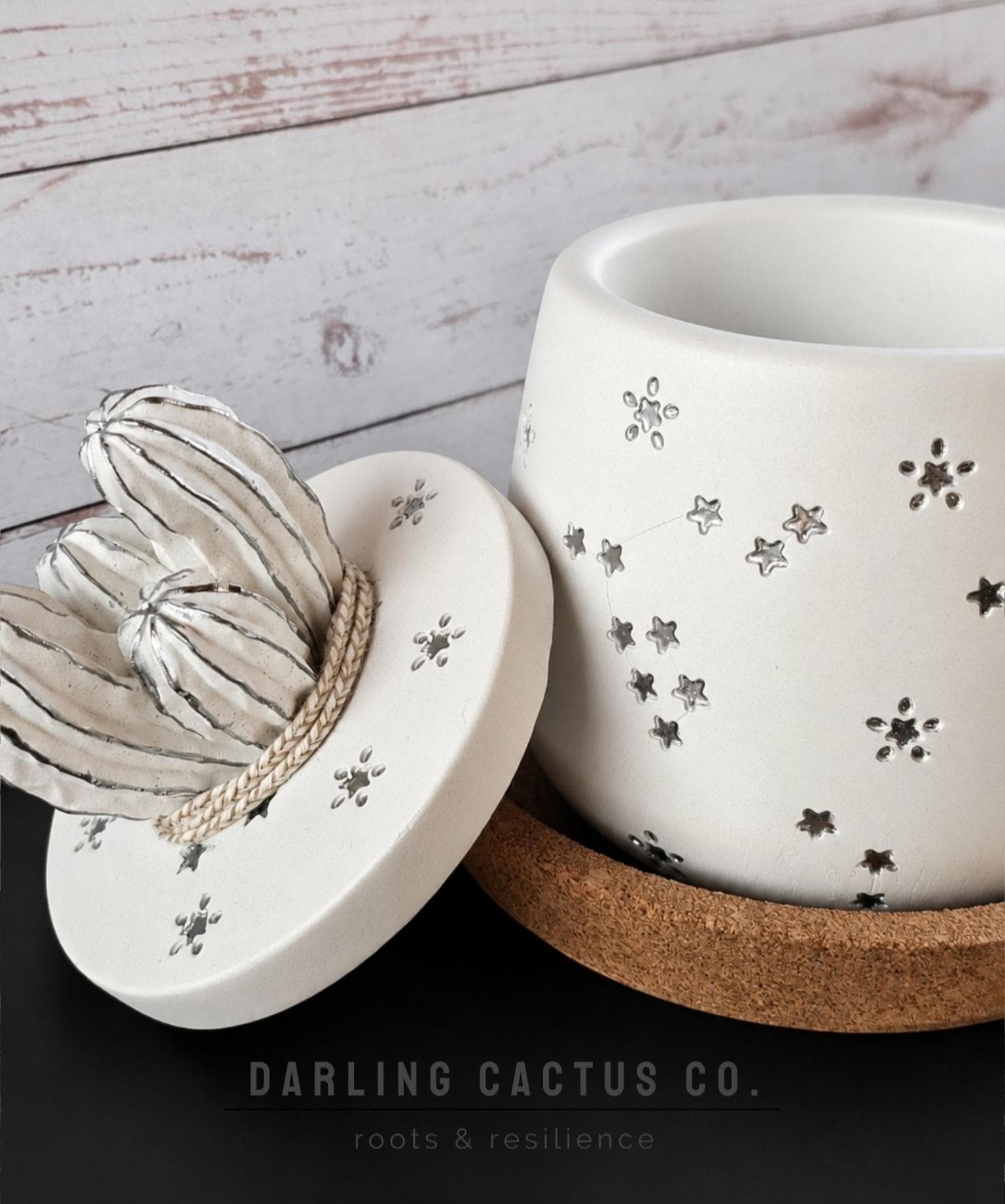 Cement Cactus jar