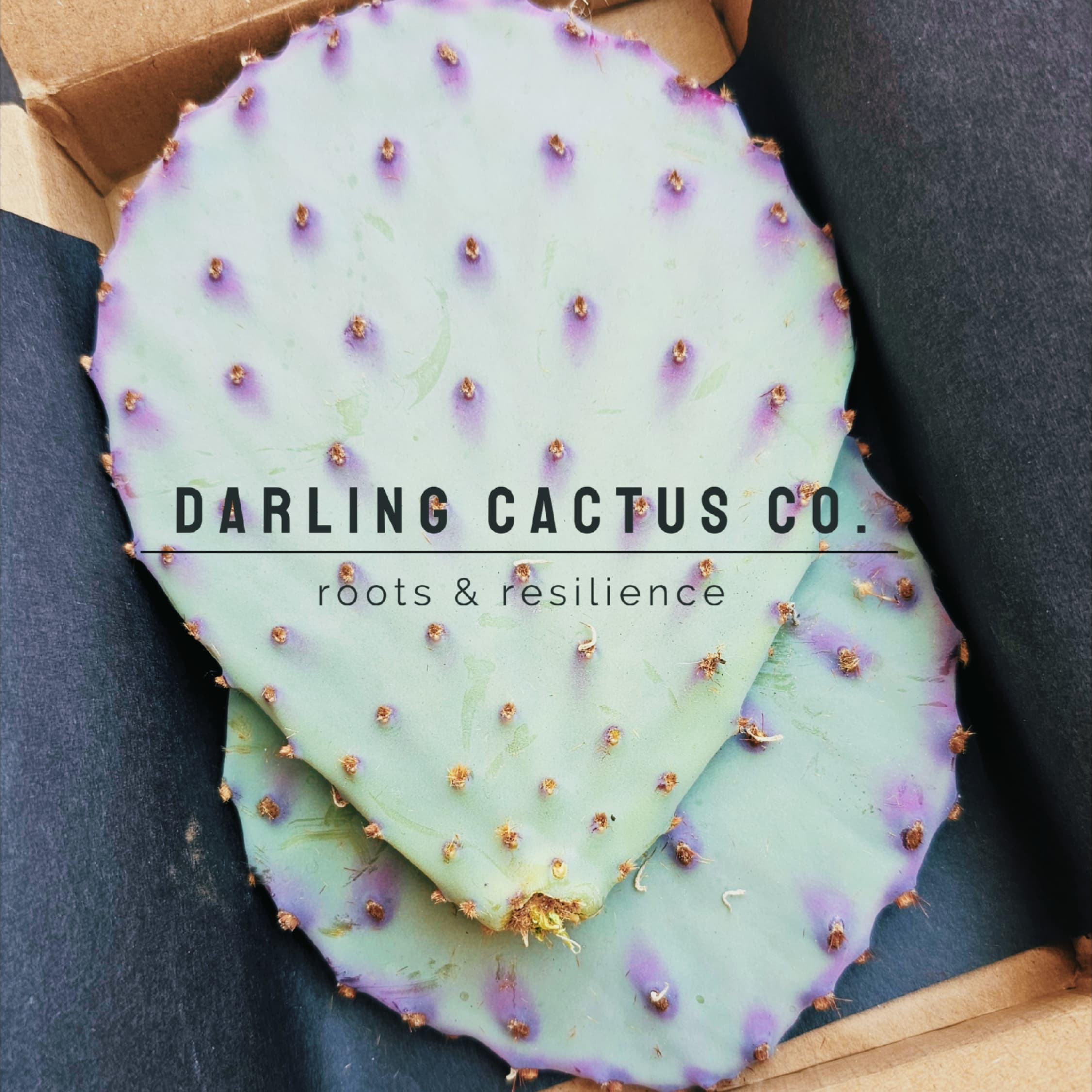 Prickly pear pads